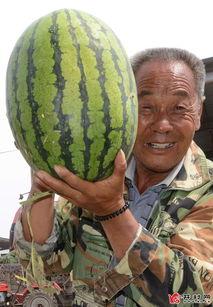 武安吃瓜爆料最新,揭秘娱乐圈最新热点事件 第1张 武安吃瓜爆料最新,揭秘娱乐圈最新热点事件 第1张